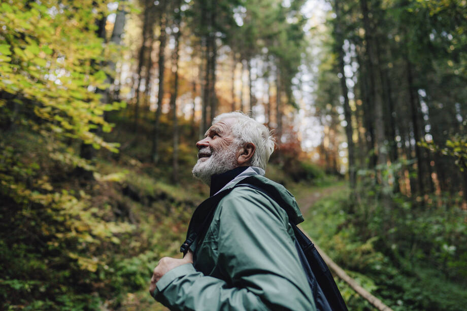 Illustrationsbild: en äldre person beundrar skogen