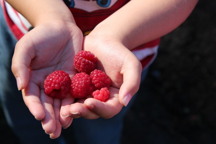 Illustrative picture.