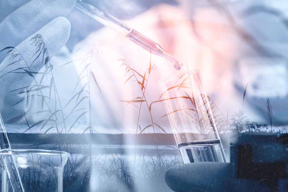 Sample tube and shoreline.