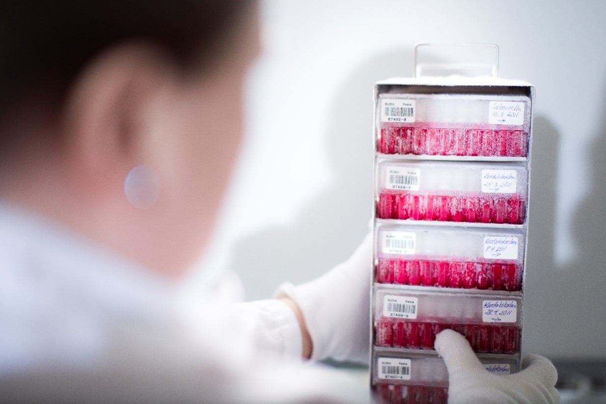 Researcher looking at sample tubes.
