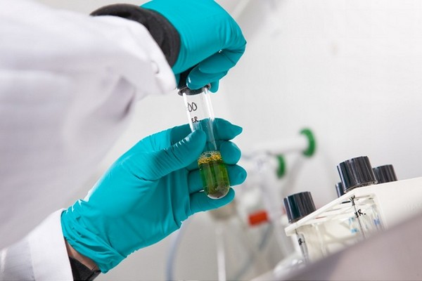 A sample tube on the hands of a researcher.