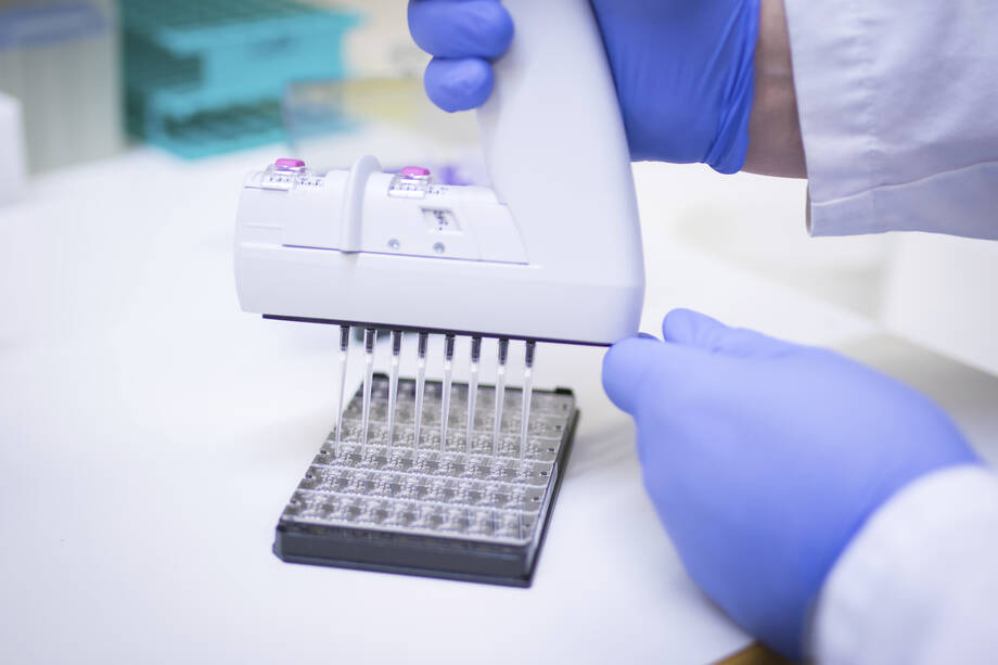 Pipetting in the laboratory.