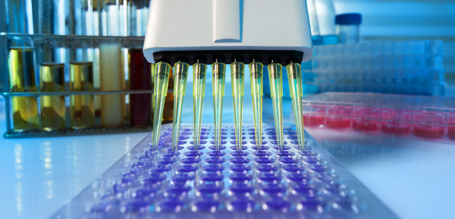 Workbench in laboratory.