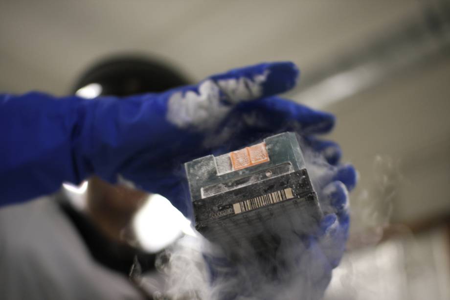 Samples taken from liquid nitrogen.