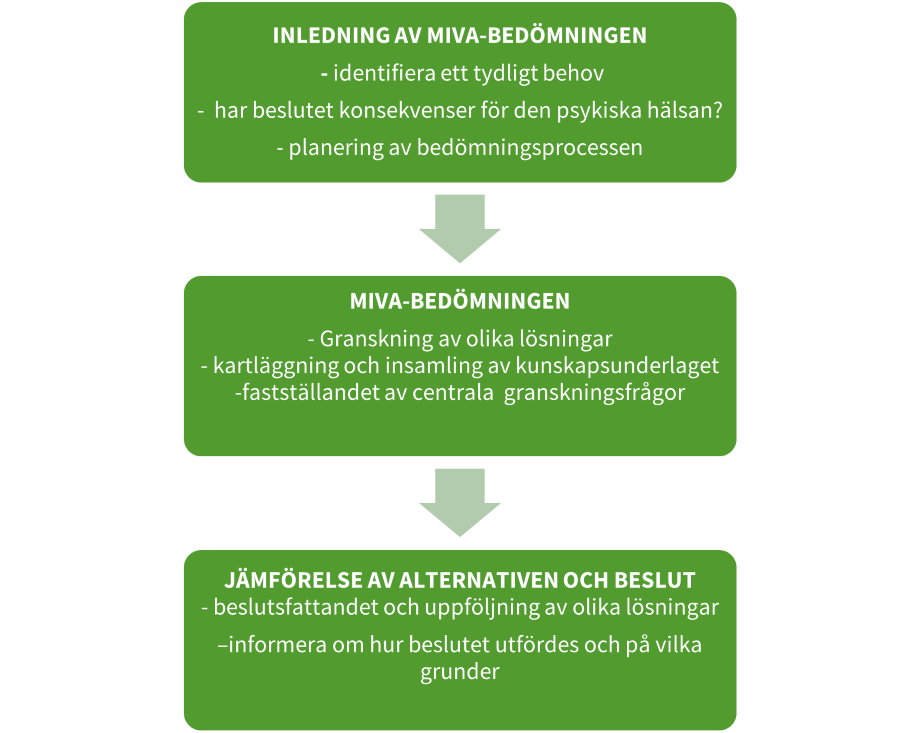 Grafik: MIVA-bedömningsprocessen. Innehållet finns också i texten.