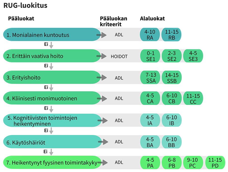 RUG-luokitus sisältää 7 pääluokkaa, jotka jakautuvat joko ADL:n tai hoitojen perusteella alaluokkiin. RUG-18-luokittelussa alaluokkia on 18.
