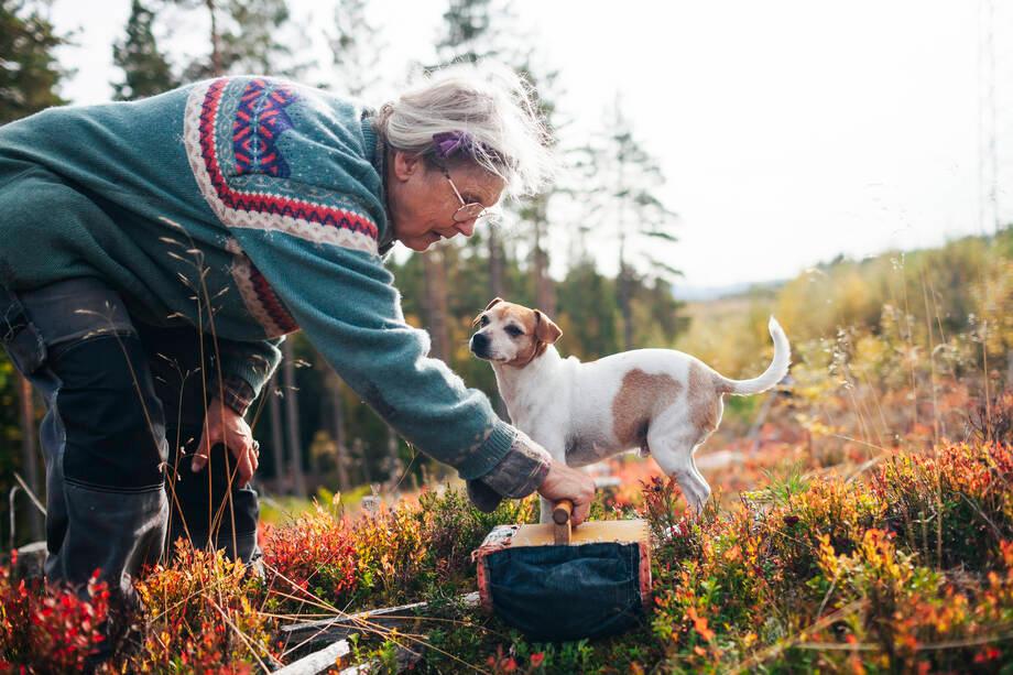 Terve Kunta -verkostopäivät 7.-8.10.2026 Oulussa