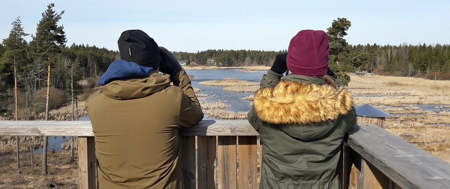 Ihmiset bongaavat lintuja lintutornissa.