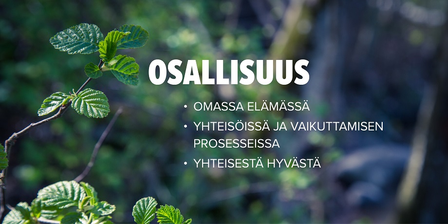 Vihreä metsän pohja.