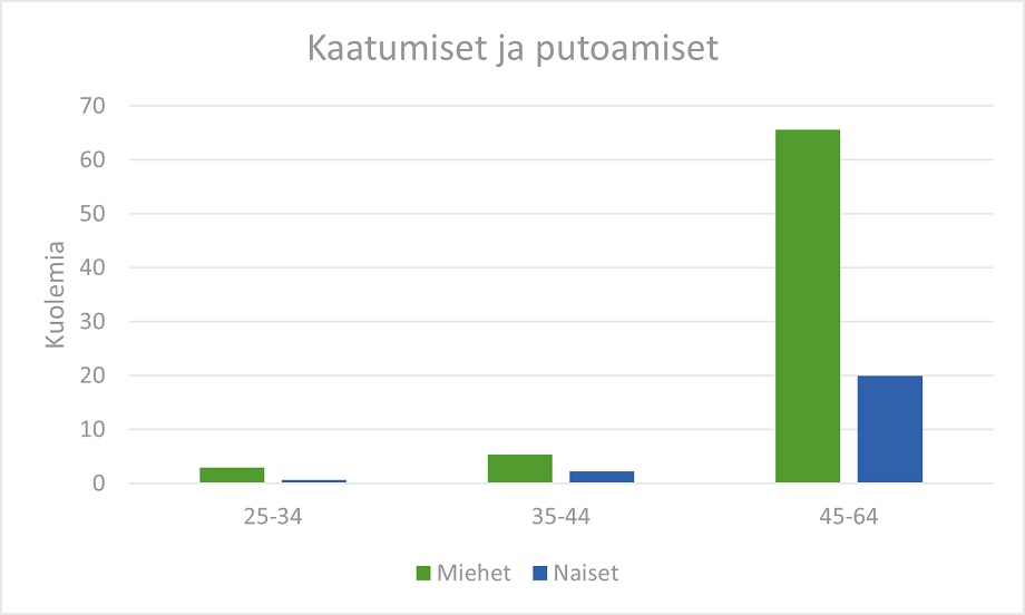 Tilastokuvio, päähavainnot kerrottu sivun tekstissä.