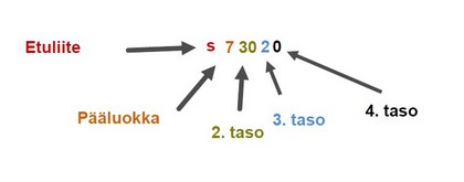 ICF koodi s73020 koostuu eri osista eli etuliitteestä (esim. s), Pääluokasta (esim. 7), 2. tasosta (esim. 30), 3. tasosta (esim. 2) ja 4.tasosta (esim. 0).