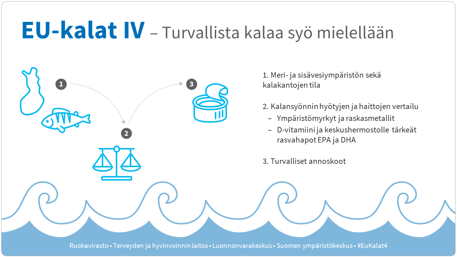 Infograafi, joka kertaa sivun sisältöä.