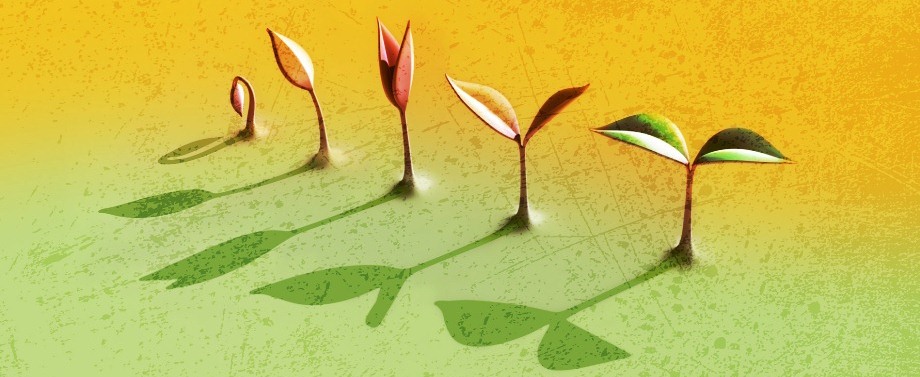 Kasvi nousee maasta vaihe vaiheelta