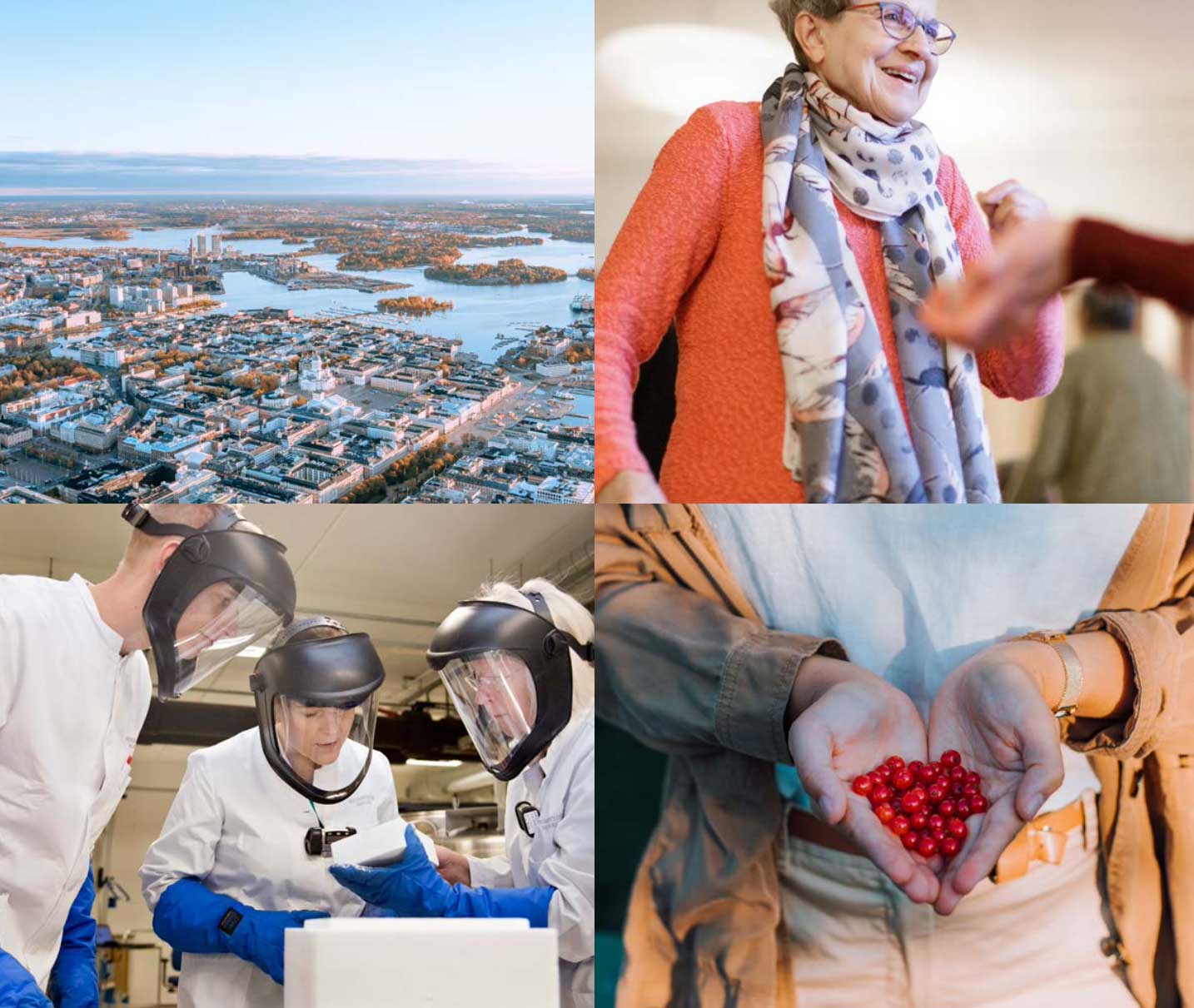 Neljä kuvaa: kaupunkikuva ilmasta, iloinen vanhus, suojapukuisia tutkijoita ja kämmenet täynnä punaisia marjoja.