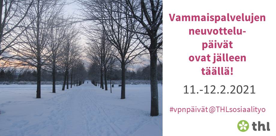 Luminen puiden reunustama tie.