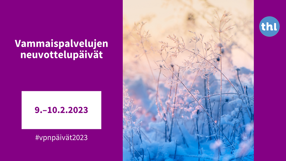 Vammaispalvelujen neuvottelupäivät 9.-10.2.2023. #vpnpäivät .Valokuva lumen alta pilkistävistä huurteisista heinistä.