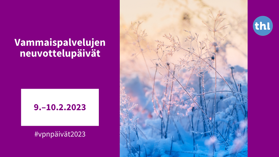 Vammaispalvelujen neuvottelupäivät 9.-10.2.2023. #vpnpäivät .Valokuva lumen alta pilkistävistä huurteisista heinistä. 