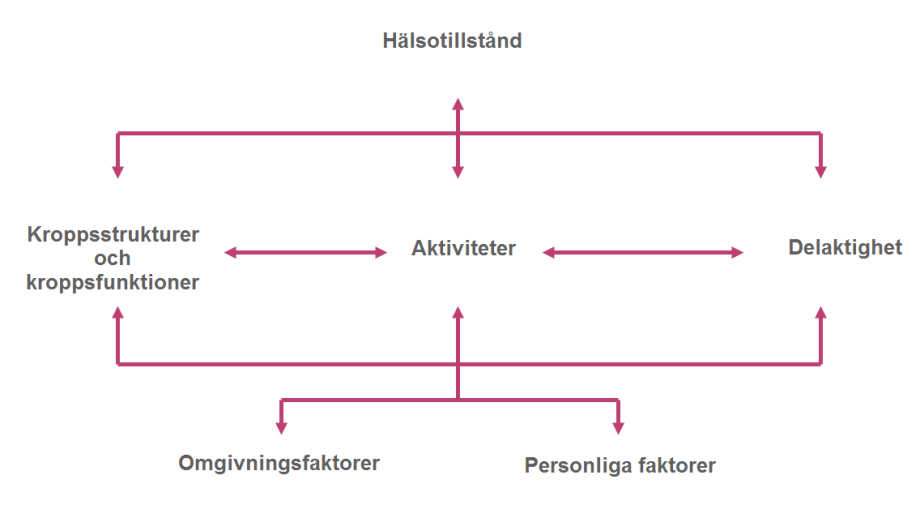 ICF-klassifikationen - THL