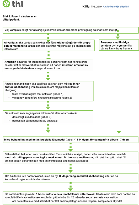 Figur 2. Faser i vården av en difteripatient.