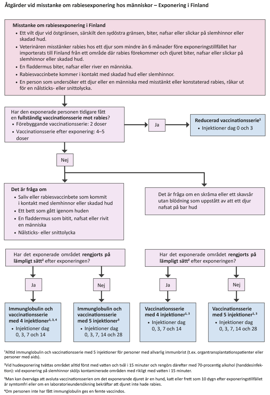 Åtgärder vid misstanke om rabiesexponering hos människor – Exponering i Finland.