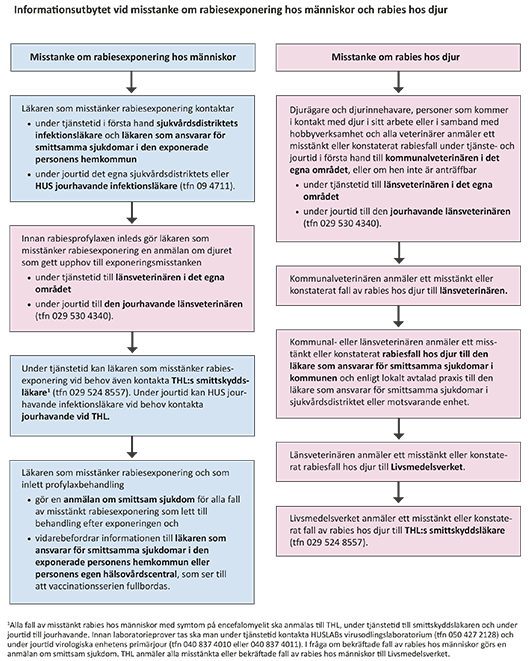 Informationsutbytet vid misstanke om rabiesexponering hos människor och rabies hos djur.