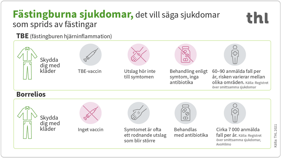 Infograf om fästingburna sjukdomar