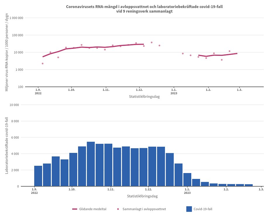 Det sammanlagda insamlade antalet RNA-kopior av coronaviruset från avloppsreningsverken har varit mycket enhetligt med antalet bekräftade coronavirusinfektioner under perioden 30.8.2022–20.2.2023. Avbrottet i trenduppföljningen vid årsskiftet 2022–2023 beror på juluppehållet och att laboratoriemetoden ändrat.