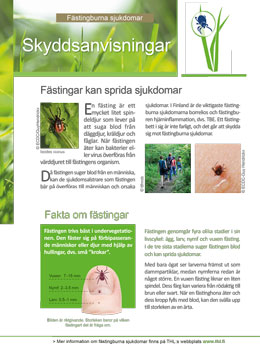 Broschyr: Färstingar kan sprida sjukdomar.