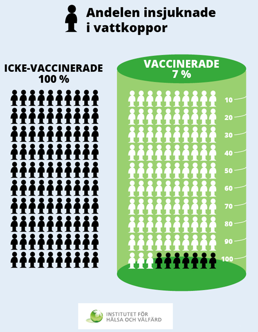Andelen insjuknade i vattkoppor icke-vaccinerade 100% och vaccinerade 7 %.