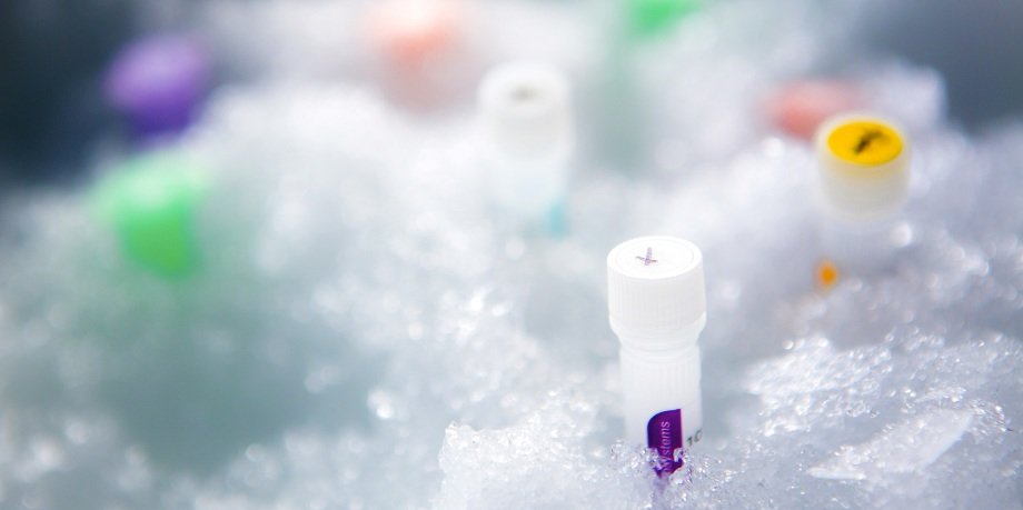 Sample tubes in ice.