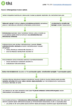 Difteriapotilaan hoidon vaiheet.