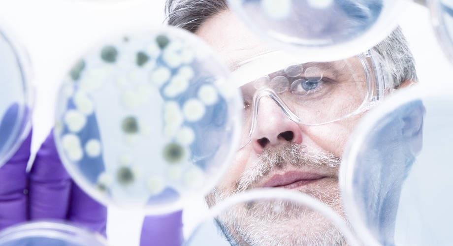 Mies katsoo suojalasit päässä labramaljaa.