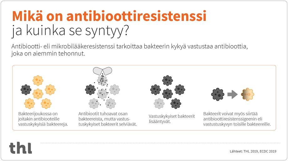 Mikä on antibioottiresistenssi ja kuinka se syntyy? Antibiootti- eli mikrobilääkeresistenssi tarkoittaa bakteerin kykyä vastustaa antibioottia, joka on aiemmin tehonnut.
