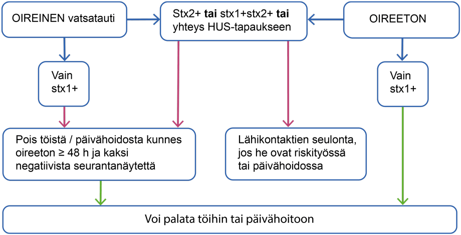 Toiminta tilanteessa, jossa riskityössä tai päivähoidossa olevalla henkilöllä on todettu EHEC, sisältö kerrottu tekstissä.