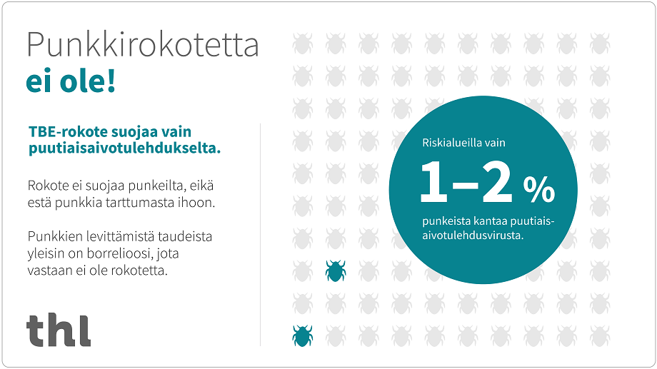 Punkkirokotetta ei ole.