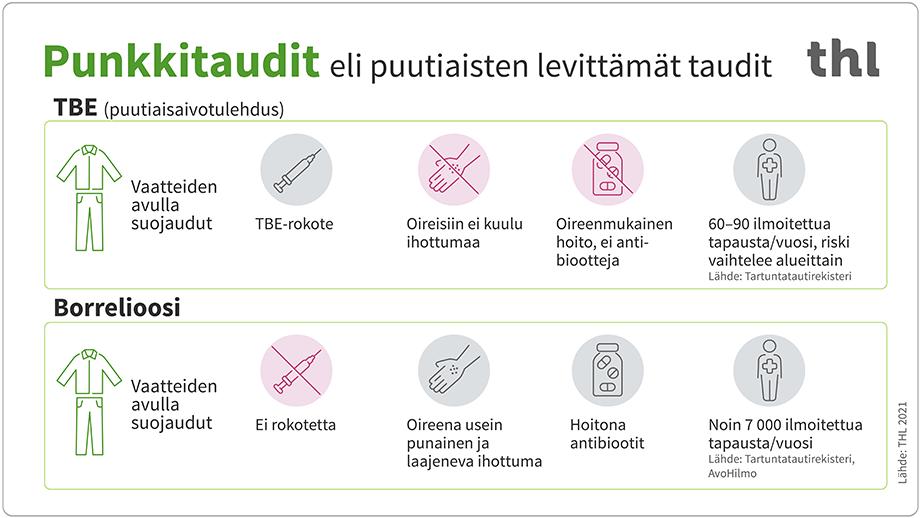 Kuvan tiedot on esitetty tekstissä