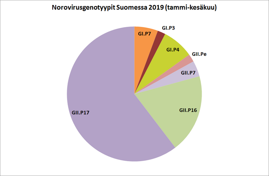 Norovirusgenotyypit Suomessa vuoden 2019 tammi-kesäkuun aikana. Tieto löytyy tekstistä.