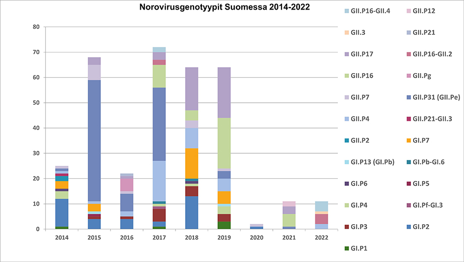 Suomessa esiintyvät norovirusgenotyypit 2014-2022 vuosien aikana. Tarkat norovirusgenotyyppien esiintyvyydet löytyvät tekstistä.