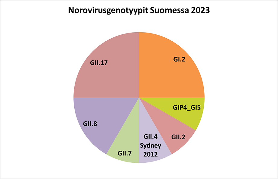 Kuva havainnollistaa norovirusgenotyyppien määrä vuoden 2023 alusta toukokuun loppuun mennessä. GI.2 on löydetty eniten. Muiden norovirusgenotyyppien esiintyvyydestä löytyy tekstistä.