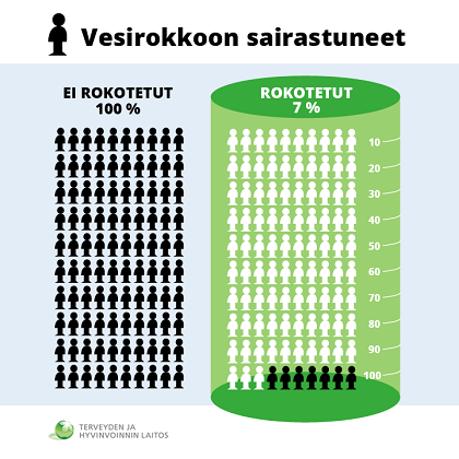 Vesirokkoon sairastuneet ei rokotetut ja rokotetut