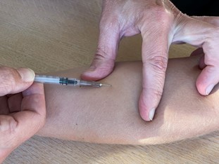 Rokotettavan ihoa kiristetään pistopaikan ympäriltä ennen rokottamista.