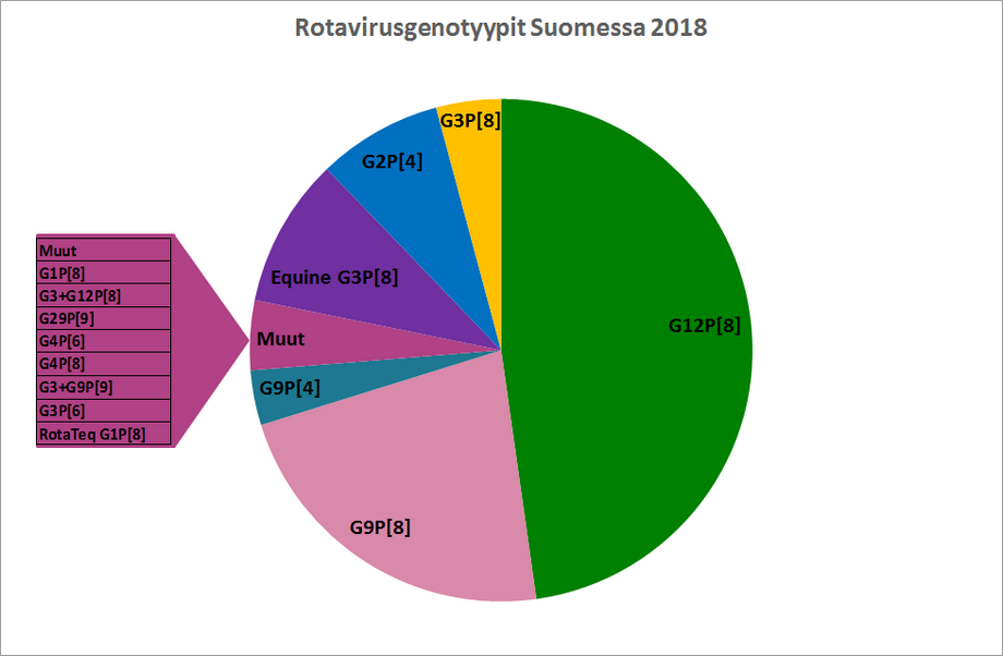 Suomessa havaitut rotaviruksen genotyypit vuonna 2018. Tieto löytyy tekstistä.