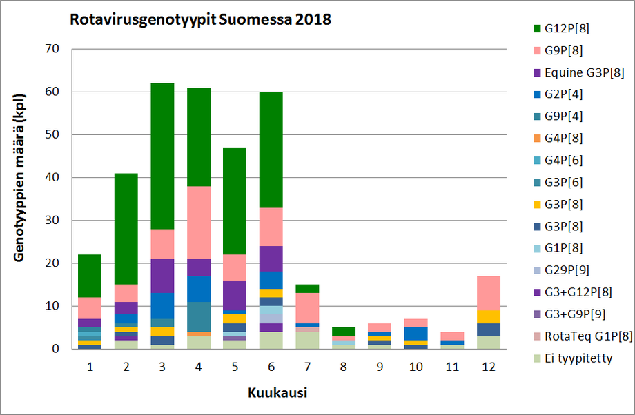 Kuukausittain Suomessa havaitut rotavirusgenotyypit vuonna 2019.