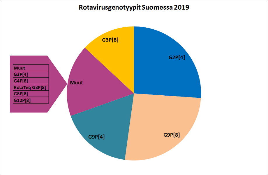 Suomessa havaitut rotaviruksen genotyypit vuonna 2019. Tieto löytyy tekstistä.