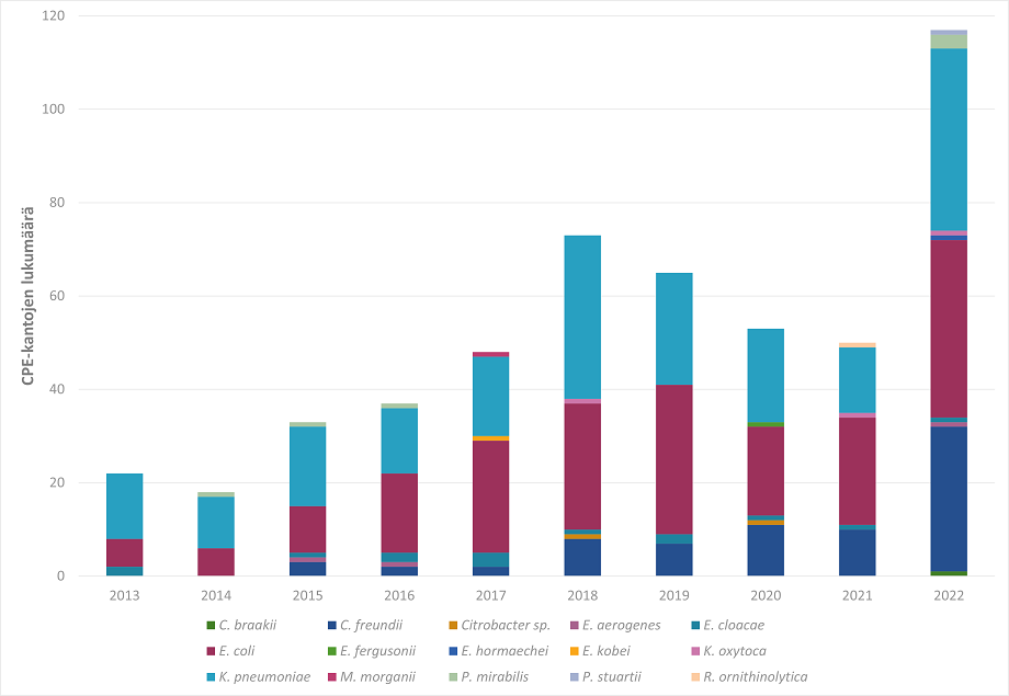 Kuvaajassa näkyy CPE-kantojen määrä pylväinä ja lajijakauma vuosina 2013–2022. Vuodesta 2014 kantojen määrissä oli tasaista nousua vuoteen 2018 asti, sen jälkeen vuodet 2018-2021 oli laskusuuntaiset. Vuonna 2022 kantoja löytyi yli kaksin kertaisesti edelliseen vuoteen verrattuna. E. coli ja K. pneumoniae ovat olleet yleisimmät lajit. C. freundii lajin löydökset on olleet kasvussa vuodesta 2015 asti.