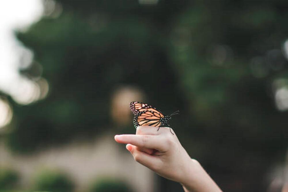 Väkivaltatutkimus halki tieteiden kentän IV-seminaari