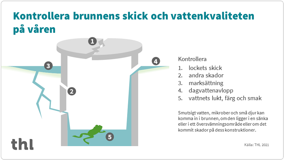 Kontrollera brunnens skick och vattenkvaliteten på våren.