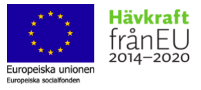 Europeiska socialfonden och hävkraft från eu -logot.