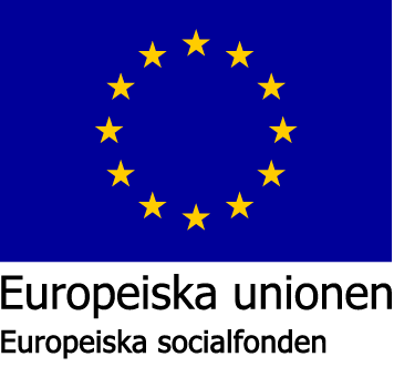 EU flag