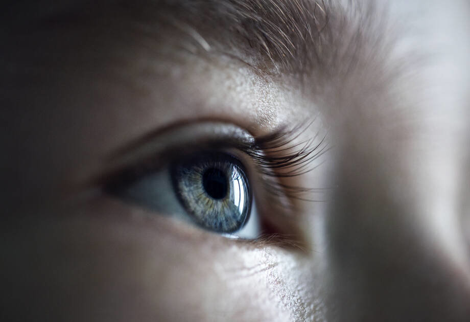 Lähikuva katseesta.